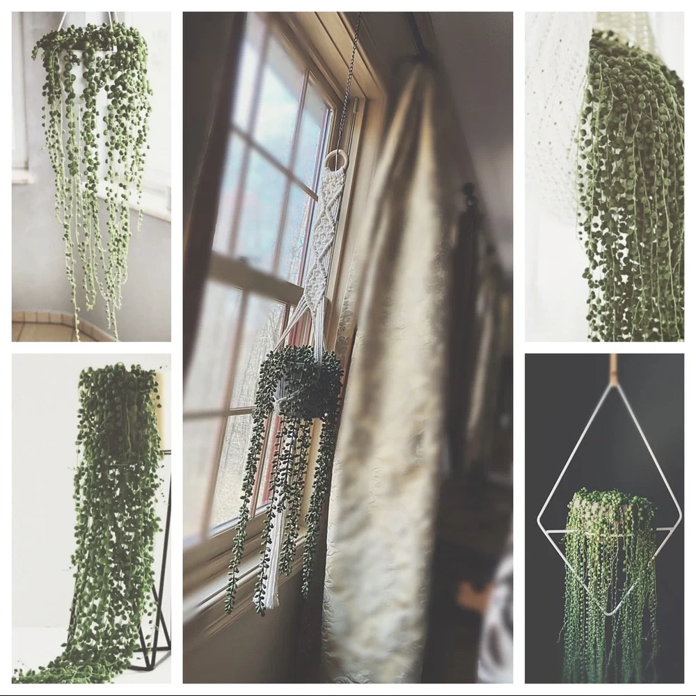 Handcrafted Macramé Succulent Hanger | Rustic Clay Pot & Faux Pearls